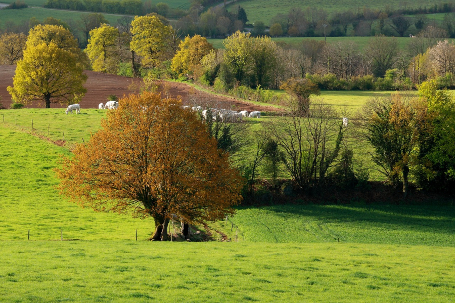 terrain Vendee